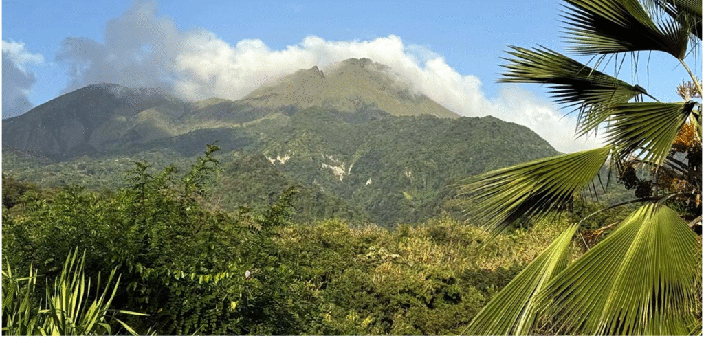 Martinique